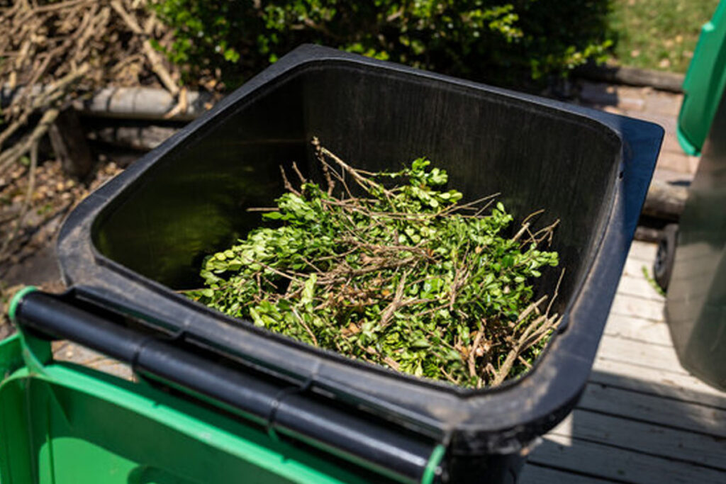 Open green bin filled with garden waste like twigs and branches.