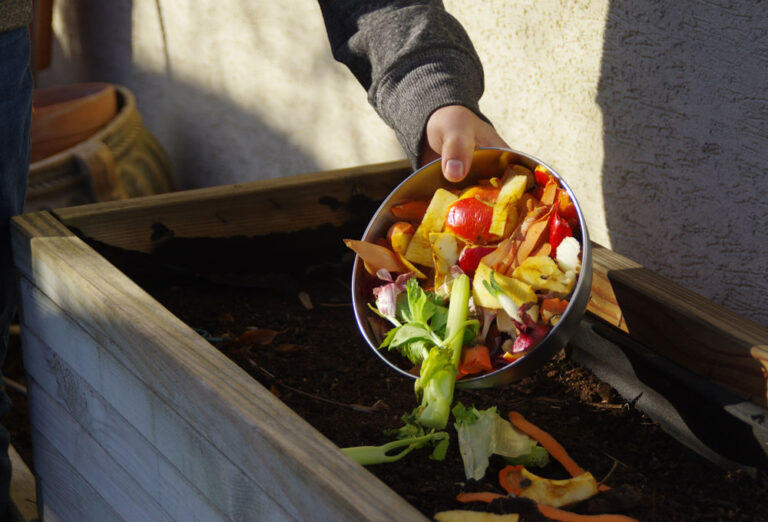 The man throws leftover vegetables from the bowl in backyard composter.