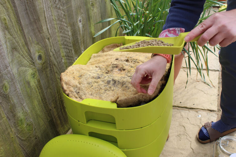 Maintaining a bright green worm farm on a patio.