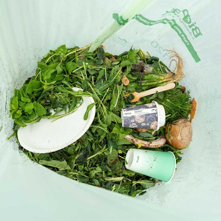 Compostable cups, plate and cutlery in green compostable bin liner with food waste